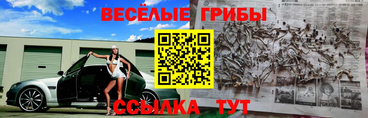 Галлюциногенные грибы Psilocybine cubensis Острогожск